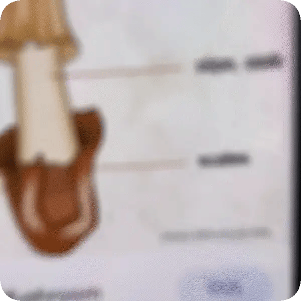 Impresora Portátil Magic Print