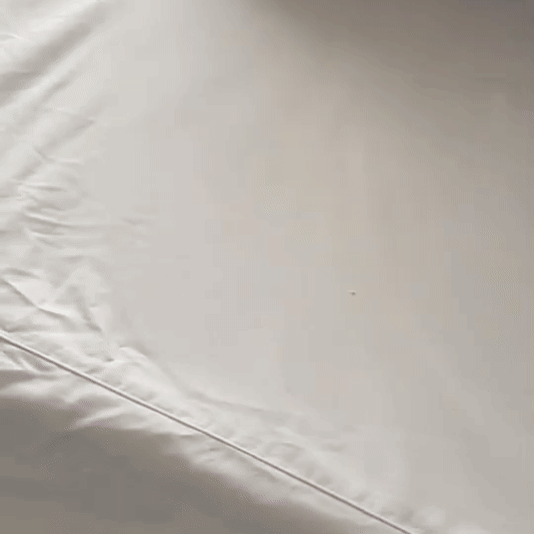 Plancha Mágica Sin Arrugas